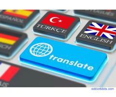 Profesyonel İngilizce Çeviri - Professional Turkish Translation