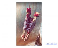 The Best Powerful SpirItual Herbalist Native Doctor IN Nigeria+2349159450040