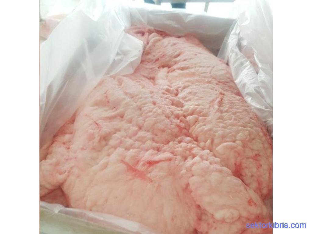 HALAL LAMB TAIL FAT FOR SALE 