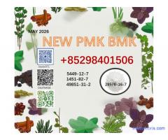 5449-12-7 cas 28578-16-7 BMK PMK powder 1451-82-7 and 49851-31-2 in mass production