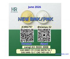 NEW PMK BMK CAS 28578-16-7