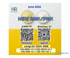NEW PMK BMK CAS 28578-16-7