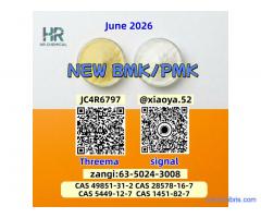 NEW PMK BMK CAS 28578-16-7