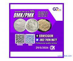 BMK/PMK CAS:28578-16-7//CAS:49851-31-2-Extraction rate up to 70%
