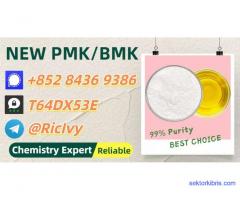 Comprehensive Safety 28578-16-7 Also to be found are B.MK 5449-12-7