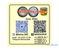 Bulk Supply BMK 5449-12-7 High Purity NEW Bulk Available
