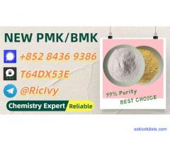 Worldwide Trading Vendor 28578-16-7 Powder 5449-12-7 P.MK Oil