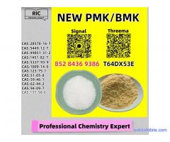 Secure Factory Supply Chain New P.MK CAS 28578-16-7 + B.MK CAS 5449-12-7