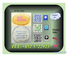 Good Price CAS 28578-16-7CAS 49851-31-2 High Purity B.MK