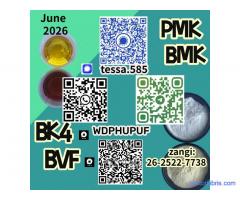 5449-12-7  BMK Glycidic Acid sodium Buy Bulk Chemicals Online Supplier  28578-16-7 PMK Ethyl Glycida
