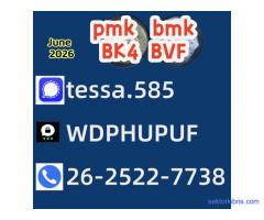 5449-12-7  BMK Glycidic Acid sodium Buy Bulk Chemicals Online Supplier  28578-16-7 PMK Ethyl Glycida