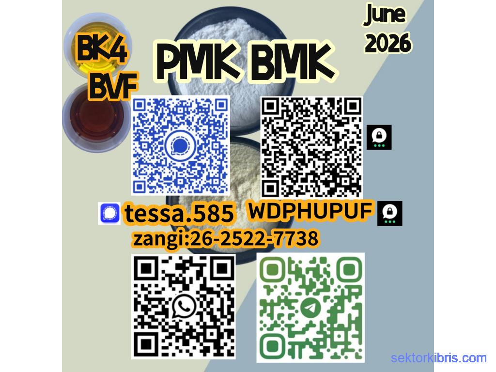 5449-12-7 BMK Glycidic Acid sodium Buy Bulk Chemicals Online Supplier 28578-16-7 PMK Ethyl Glycida 5449-12-7 BMK Glycidic Acid sodium Buy Bulk Chemicals Online Supplier 28578-16-7 PMK Ethyl Glycida