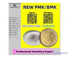 Established Production Base BM.K 5449-12-7 Powder 28578-16-7 P.MK Oil