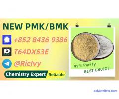 Established Production Base BM.K 5449-12-7 Powder 28578-16-7 P.MK Oil