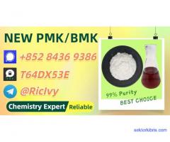 Guaranteed Regular Supply P.MK Power CAS 5449-12-7 and 28578-16-7 B.MK