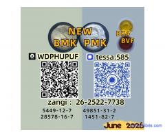 Double clearance   5449-12-7  BMK Glycidic Acid sodium   28578-16-7 PMK Ethyl Glycidate
