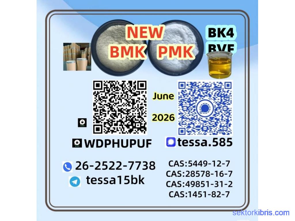 5449-12-7  BMK Glycidic Acid sodium Chemical Reagents Supplier  High Purity Bulk 28578-16-7 PMK  145