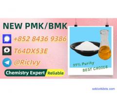 Original Factory 49851-31-2 BM.K PM.K Supply 5449-12-7 28578-16-7