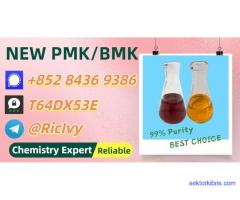 New 5449-12-7 BM.K Powder 28578-16-7 PM.K Oil Doorstep Service