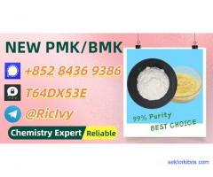 2-Bromovalerophenone 49851-31-2 BM.K 5449-12-7 PM.K 28578-16-7 Source Factory