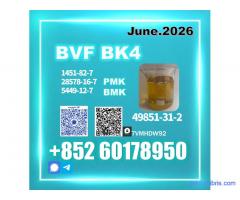 CAS 49851-31-2 BVF oil Top Factory Pharma Grade