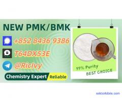 Backup Factory Availability B.MK Powder 28578-16-7 P.MK 5449-12-7