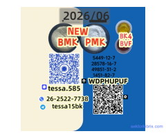 BMK 5449-12-7   Specialty Chemicals Bulk Supplier Europe 28578-16-7 PMK