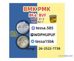 BMK 5449-12-7   Specialty Chemicals Bulk Supplier Europe 28578-16-7 PMK