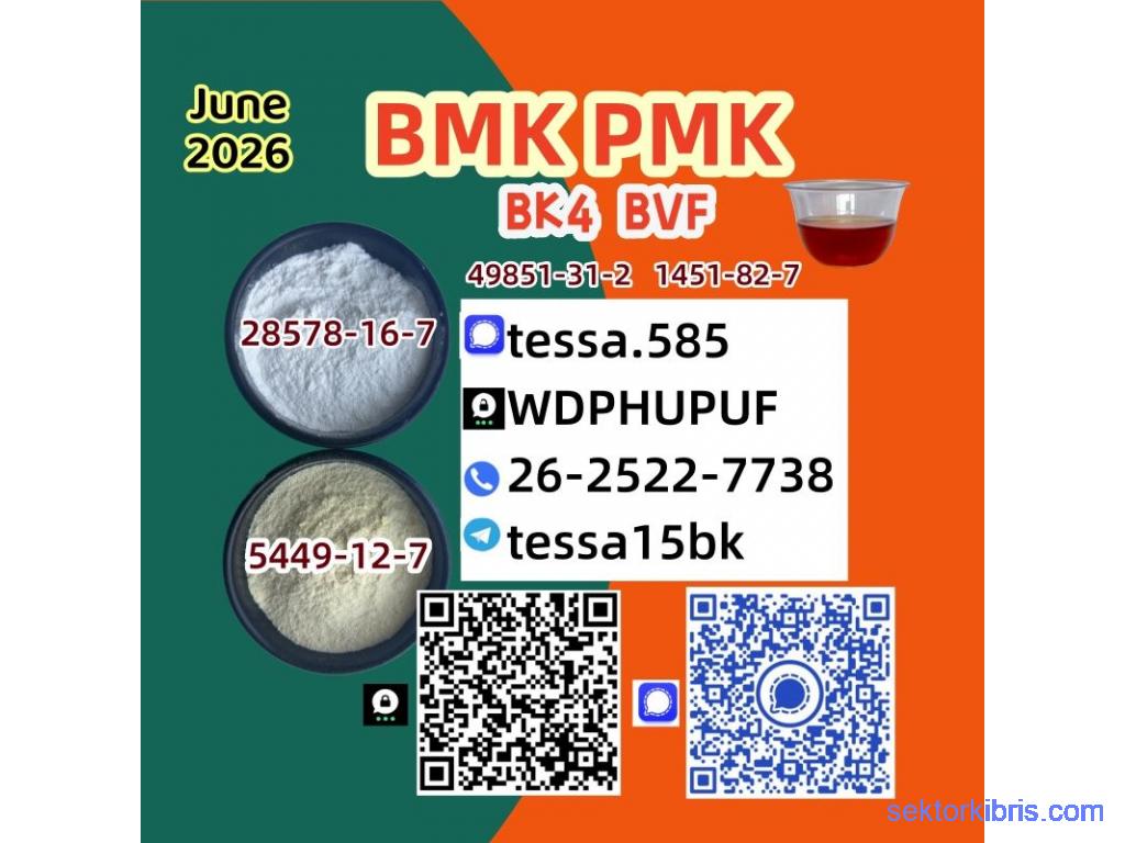 5449-12-7 Glycidic Acid (sodium salt) BMK 99% High Purity Powder 5449-12-7 Glycidic Acid (sodium salt) BMK 99% High Purity Powder