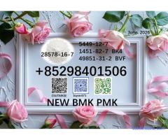 CAS 5449-12-7 and 28578-16-7 factory bulk supply 1451-82-7 & 49851-31-2 new BMK PMK