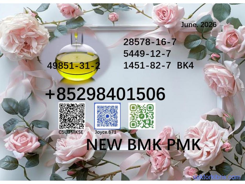 CAS 5449-12-7 and 28578-16-7 factory bulk supply 1451-82-7 & 49851-31-2 new BMK PMK CAS 5449-12-7 and 28578-16-7 factory bulk supply 1451-82-7 & 49851-31-2 new BMK PMK