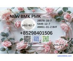 New BMK CAS 28578-16-7 & CAS 5449-12-7 PMK doorstep delivery