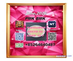 Ingredients P-MK CAS 28578-16-7 B-MK CAS5449-12-7/ 49851-31-2
