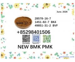 CAS 5449-12-7 and 28578-16-7 BMK 1451-82-7 49851-31-2 PMK with best price