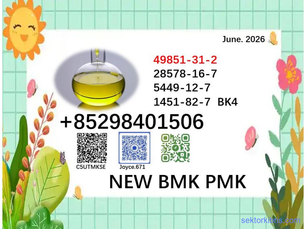 cas 28578-16-7 BK4 5449-12-7 BMK PMK in stock