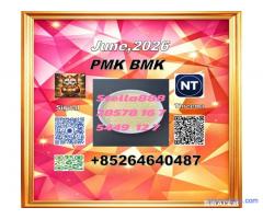Supply China reliable supplier PM.K CAS 28578-16 -7/ 49851-31-2