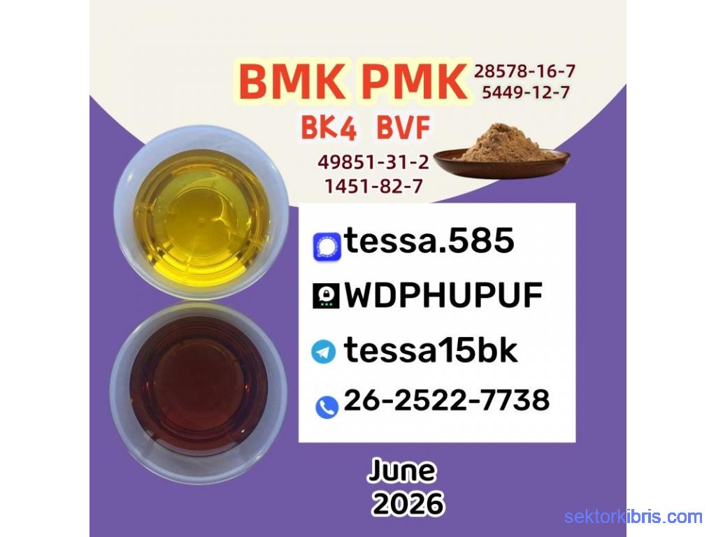 CAS 5449-12-7 Powder BMK Glycidic Acid sodium salt 99% High Purity oilReliable Logistics Partner CAS 5449-12-7 Powder BMK Glycidic Acid sodium salt 99% High Purity oilReliable Logistics Partner