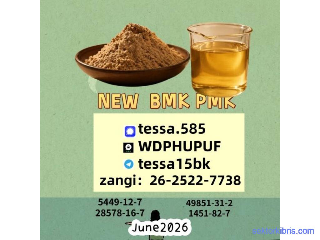 CAS 5449-12-7 Powder BMK Glycidic Acid sodium salt 99% High Purity oilReliable Logistics Partner CAS 5449-12-7 Powder BMK Glycidic Acid sodium salt 99% High Purity oilReliable Logistics Partner