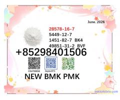 Best quote cas 5449-12-7/28578-16-7 BMK PMK oil powder with certificate