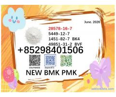 New PMK BMK 28578-16-7/5449-12-7 powder high quality purity