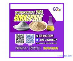 PM.K/CAS:28578-16-7/BM.K/5449-12-7 Best Price