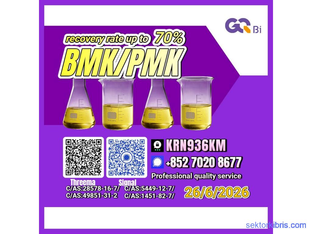 PM.K/CAS:28578-16-7/BM.K/5449-12-7 Best Price