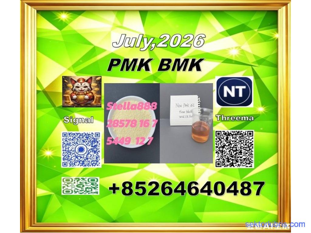 CAS 28578-16-7 factory safe delivery with BMK CAS 5449-12-7