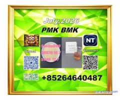 CAS 28578-16-7 factory safe delivery with BMK CAS 5449-12-7