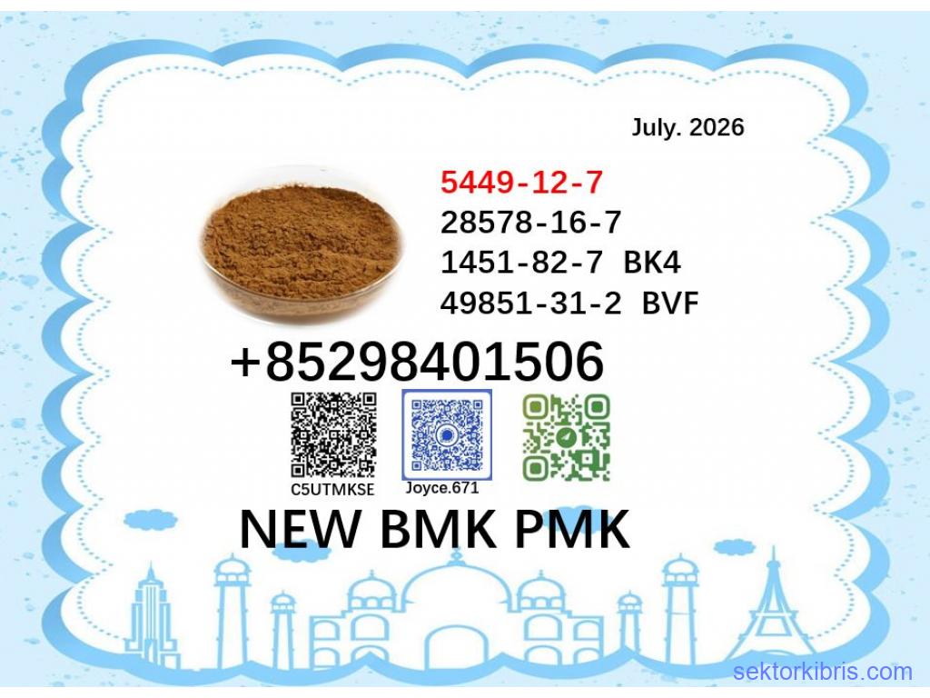 World Trade Vendor BMK PMK Powder CAS 5449-12-7 and 28578-16-7