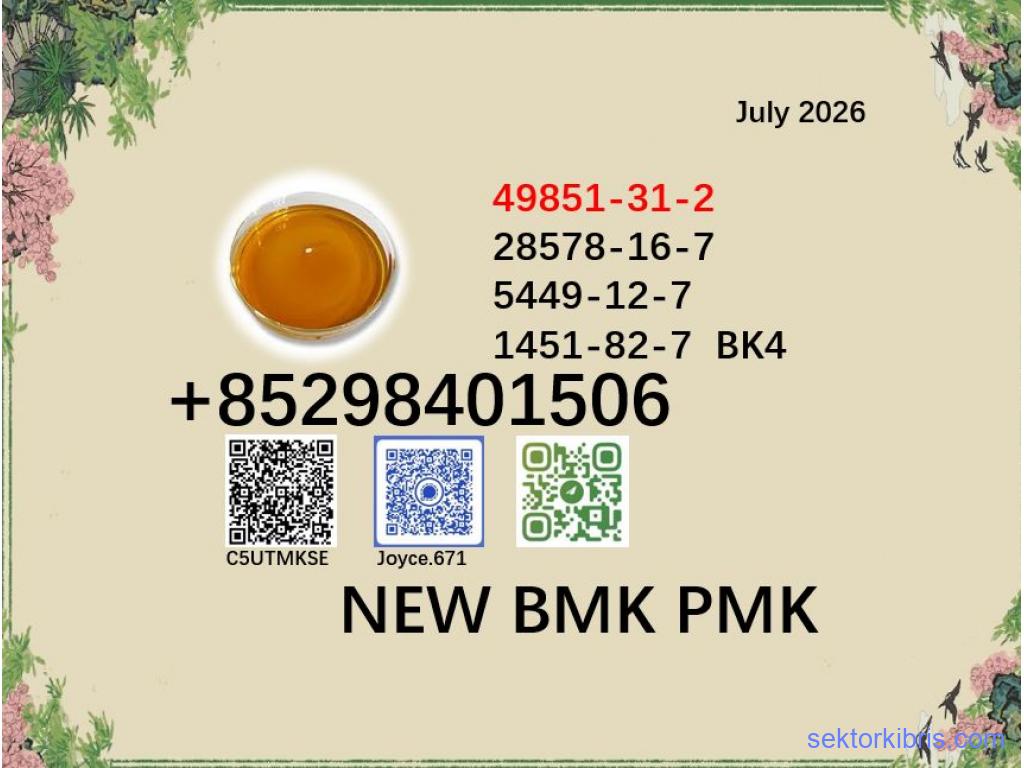 World Trade Vendor BMK PMK Powder CAS 5449-12-7 and 28578-16-7