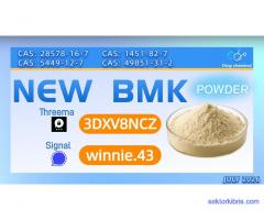 PMK Oil CAS 28578-16-7 | Global Wholesale Supplier