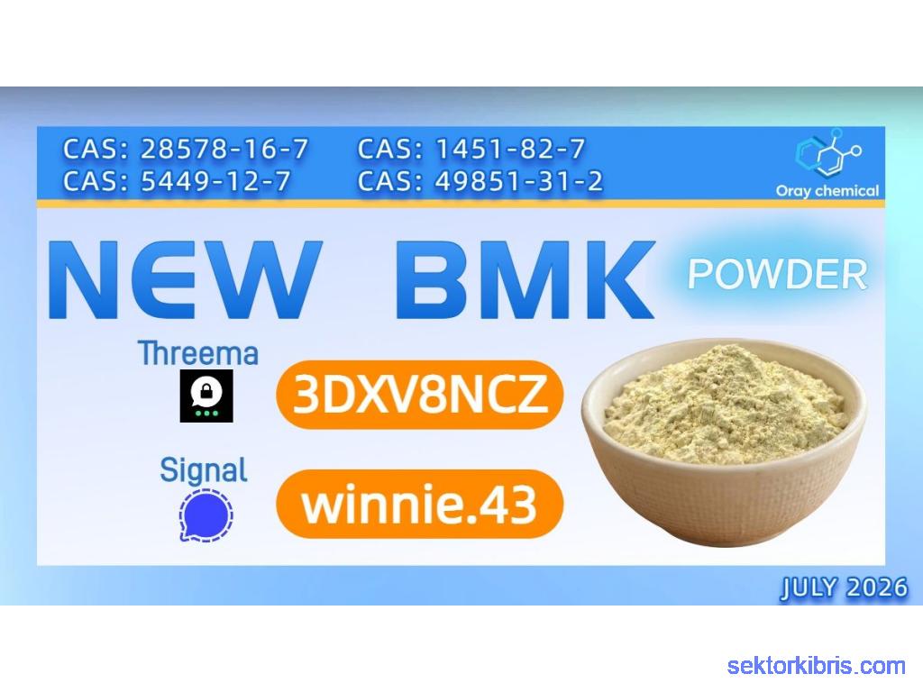 PMK Oil CAS 28578-16-7 | Global Wholesale Supplier