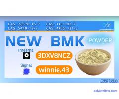 PMK Oil CAS 28578-16-7 | Global Wholesale Supplier