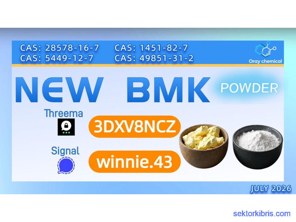 PMK Oil CAS 28578-16-7 | Global Wholesale Supplier